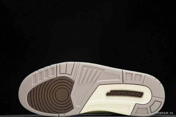 Retro Jordan  3  CT8532-102 Palomino CT8532-102 0925